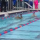 Illustration for article titled Swimmers Narrowly Avoid Death By Pelican